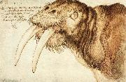 Albrecht Durer Walrus oil